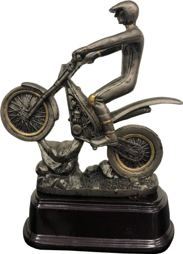 bronze trial bike awards