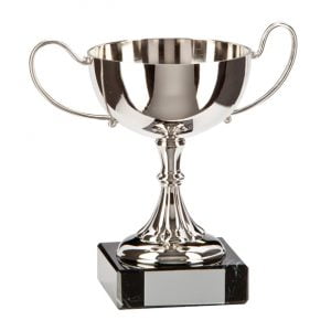 basket-NP1707-silver-trophy