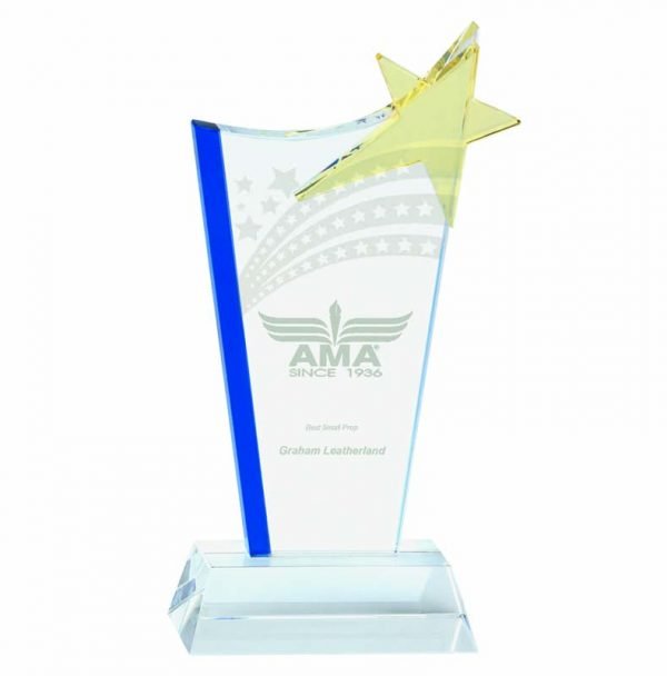 Coloured star glass award