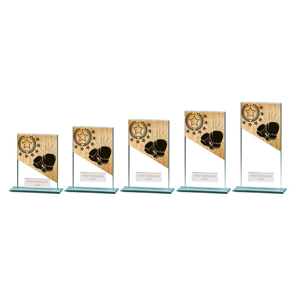 Mustang Boxing Jade Glass Award